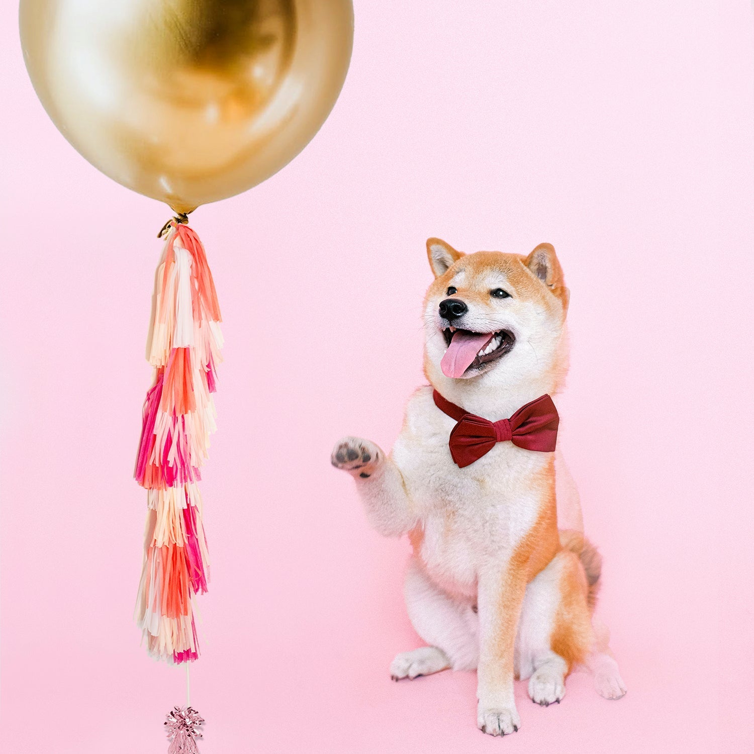 Tropical Tassel Tail