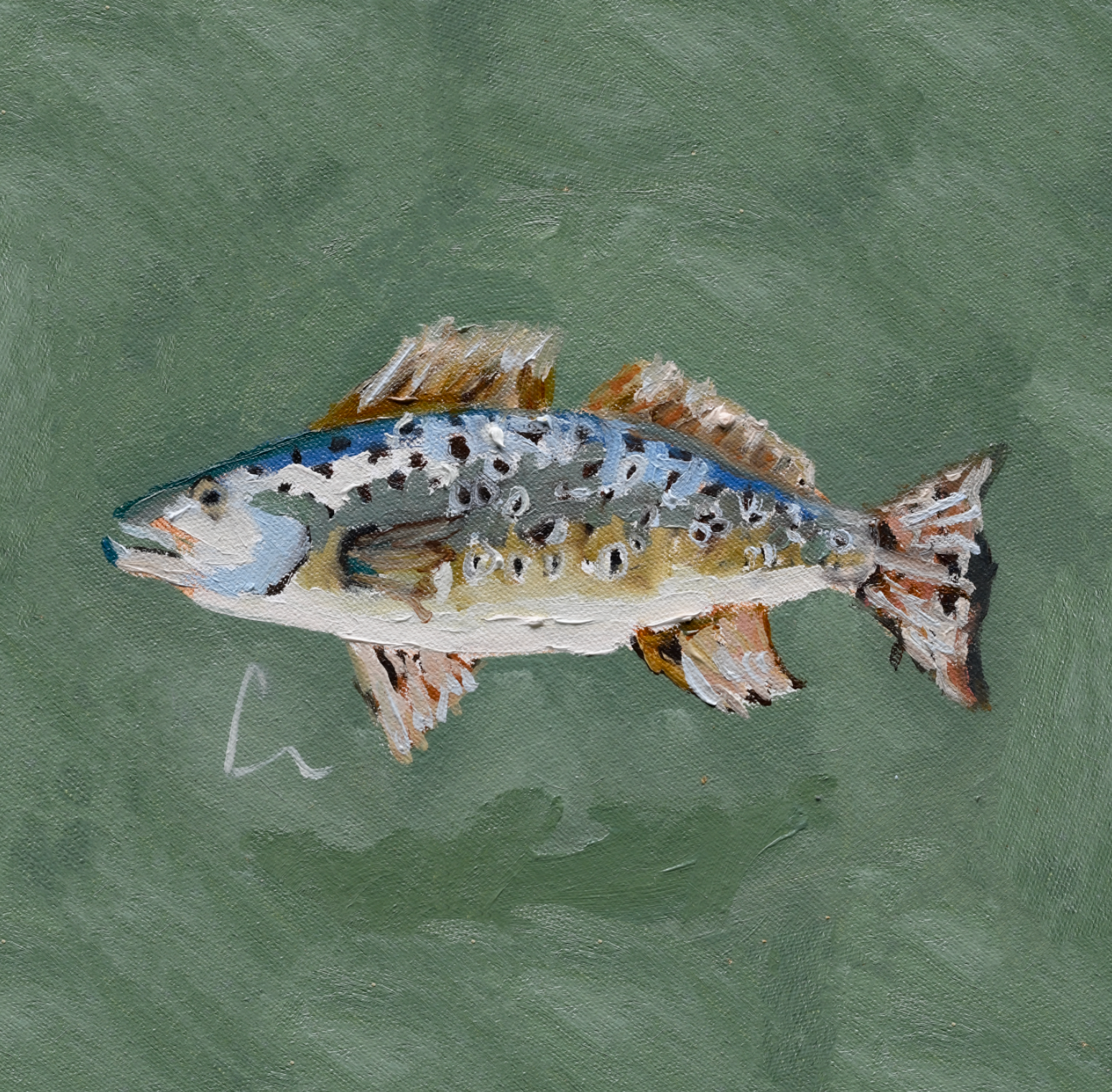 Trout 2 Print