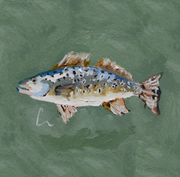 Trout 2 Print
