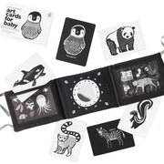 Baby Tummy Time Gallery With Mirror Bundle
