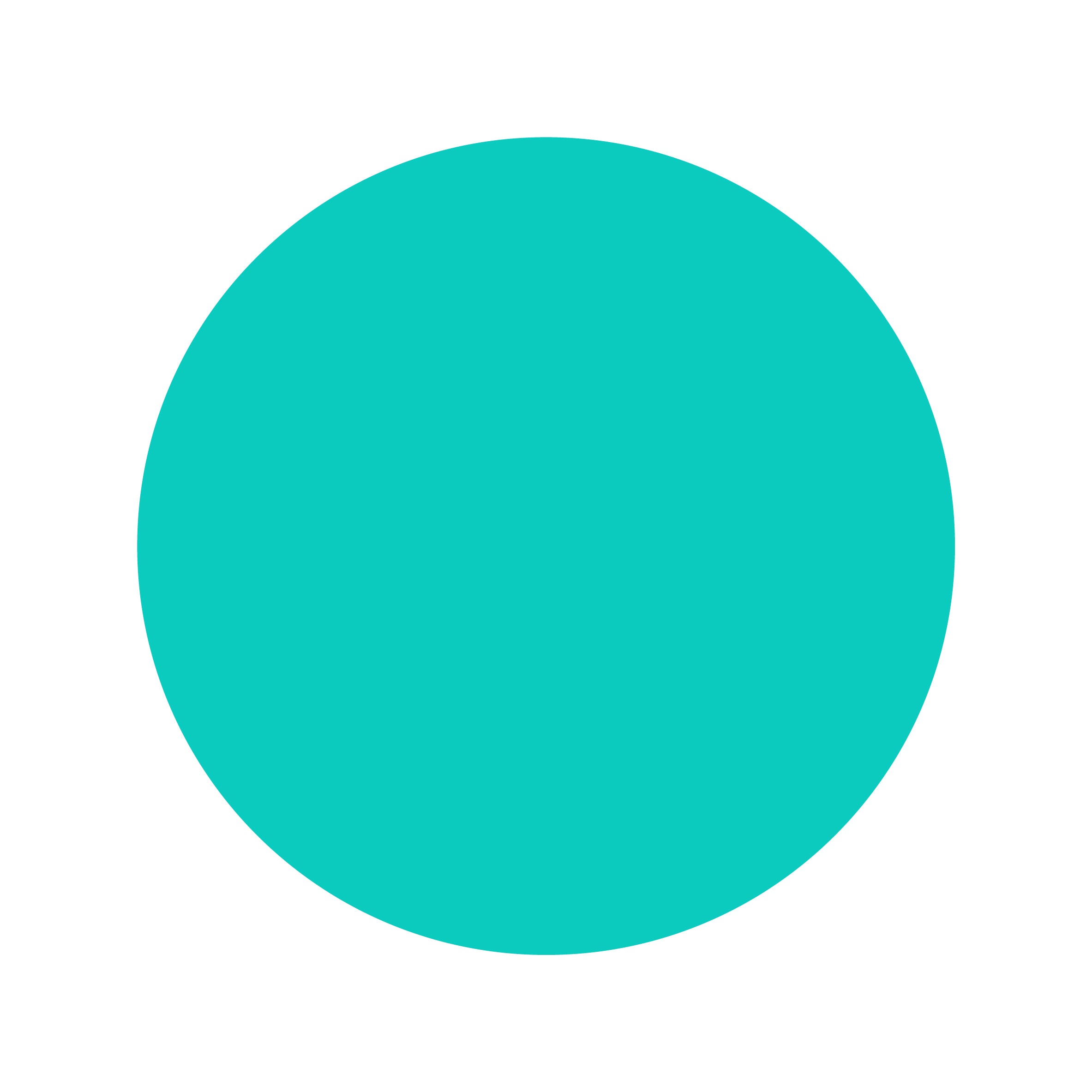 Turquoise | Bamboo Double Quilted Adult Blanket