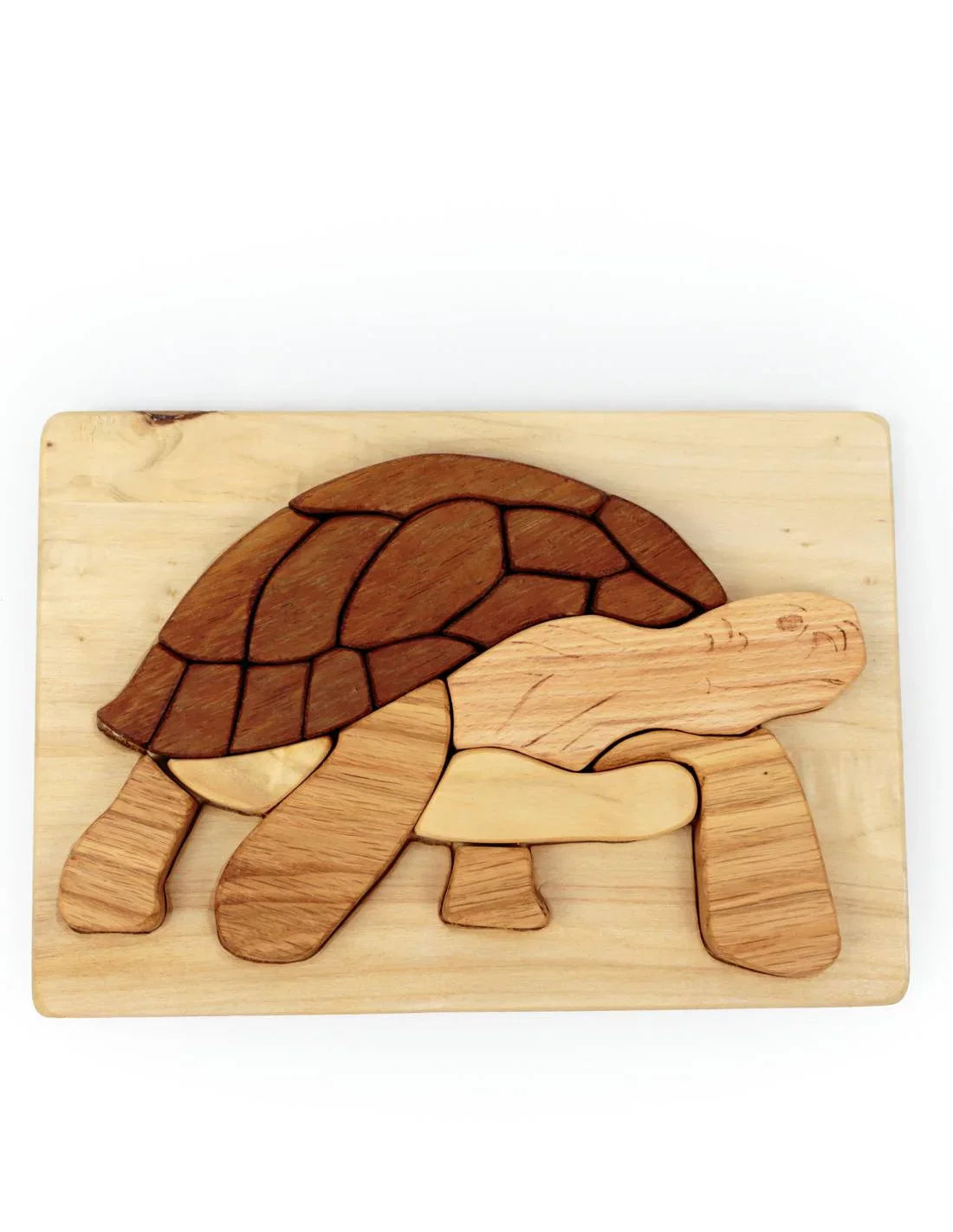 Turtle / Tortoise Wooden Puzzle In Natural Wood