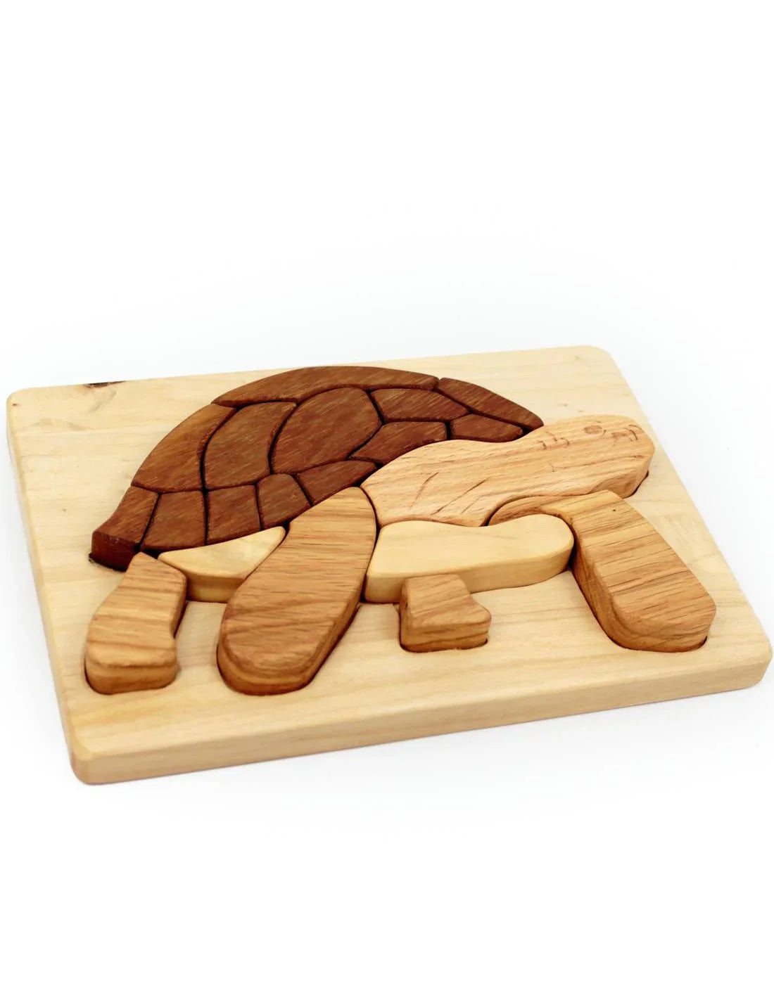 Turtle / Tortoise Wooden Puzzle In Natural Wood