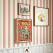 Ringling Wallpaper By Yorkville Studio