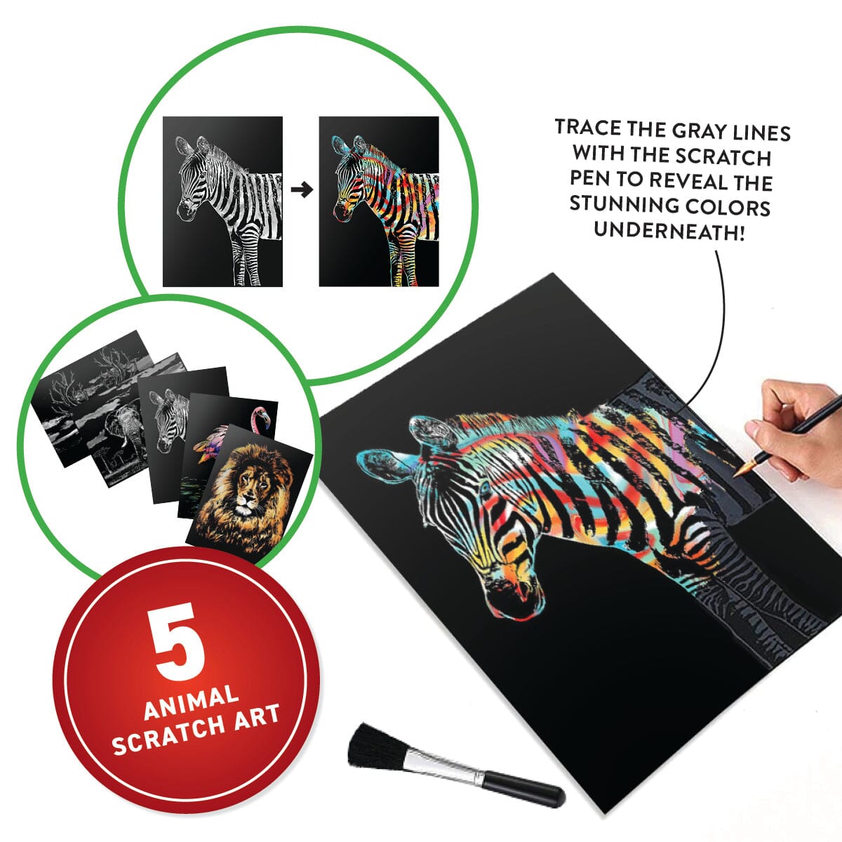 Virtual Reality Animals Discovery Gift Set W/ Dk Book