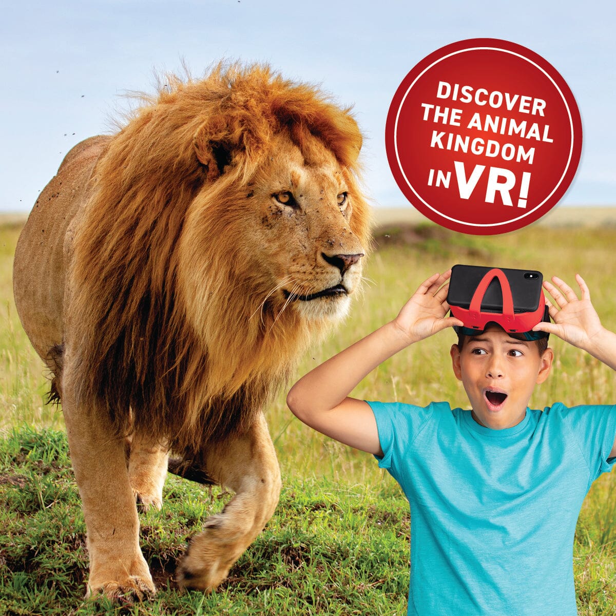 Virtual Reality Animals Discovery Gift Set W/ Dk Book