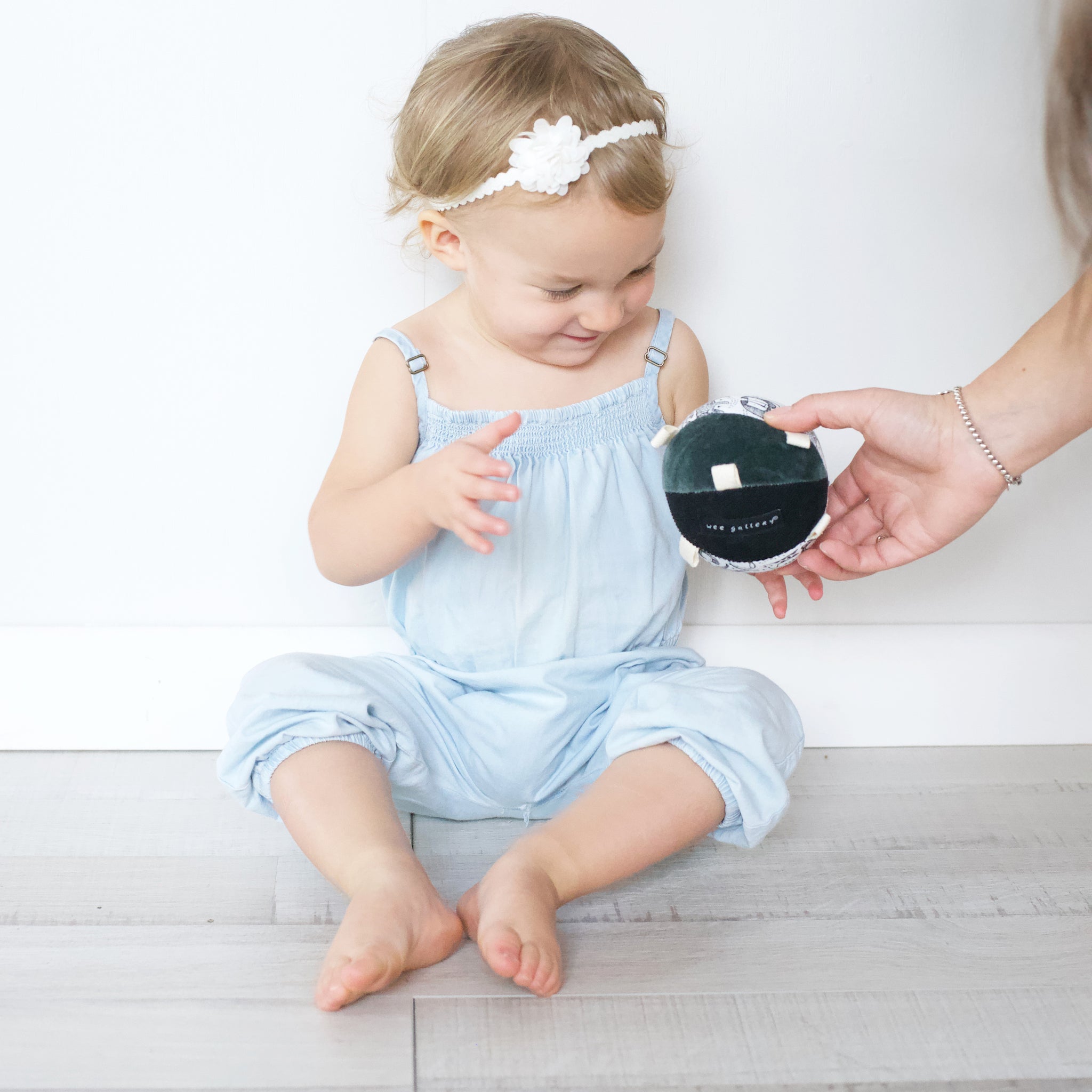 Taggy Ball With Rattle - Wild