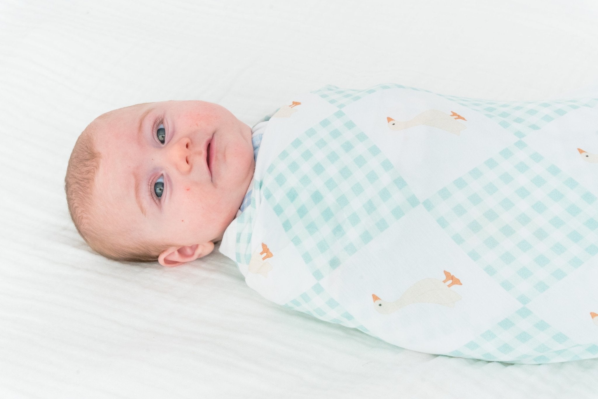 Wesley Stretch Blanket
