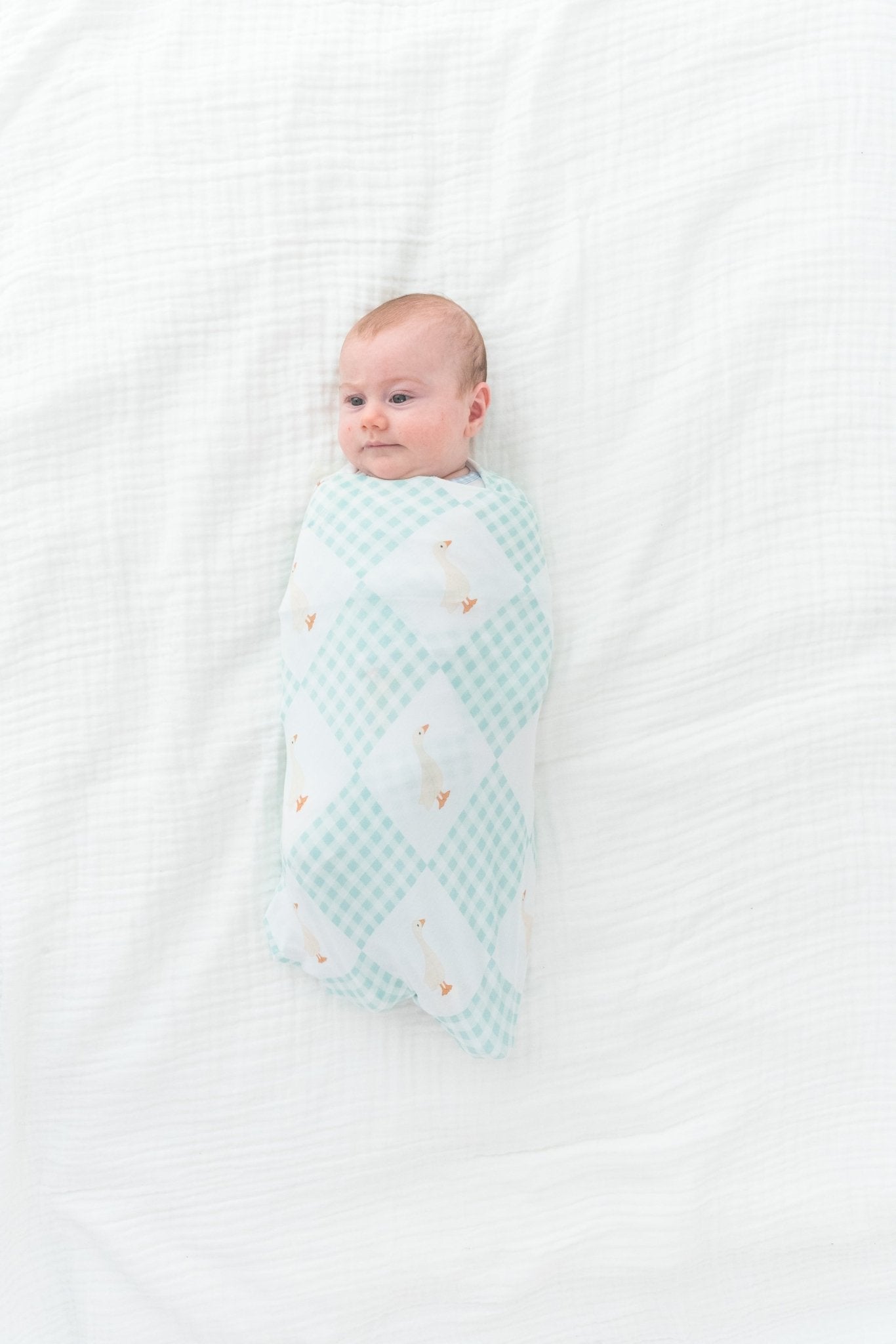 Wesley Stretch Blanket