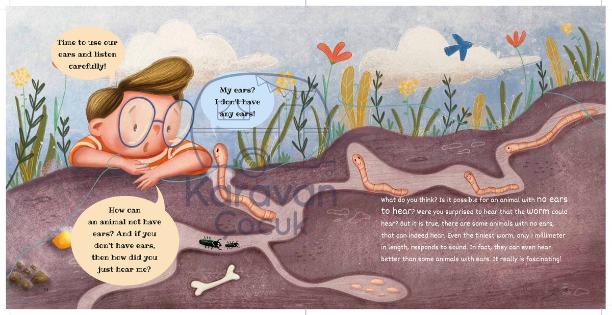 Who Hears The Best? | Islamic Children's Book