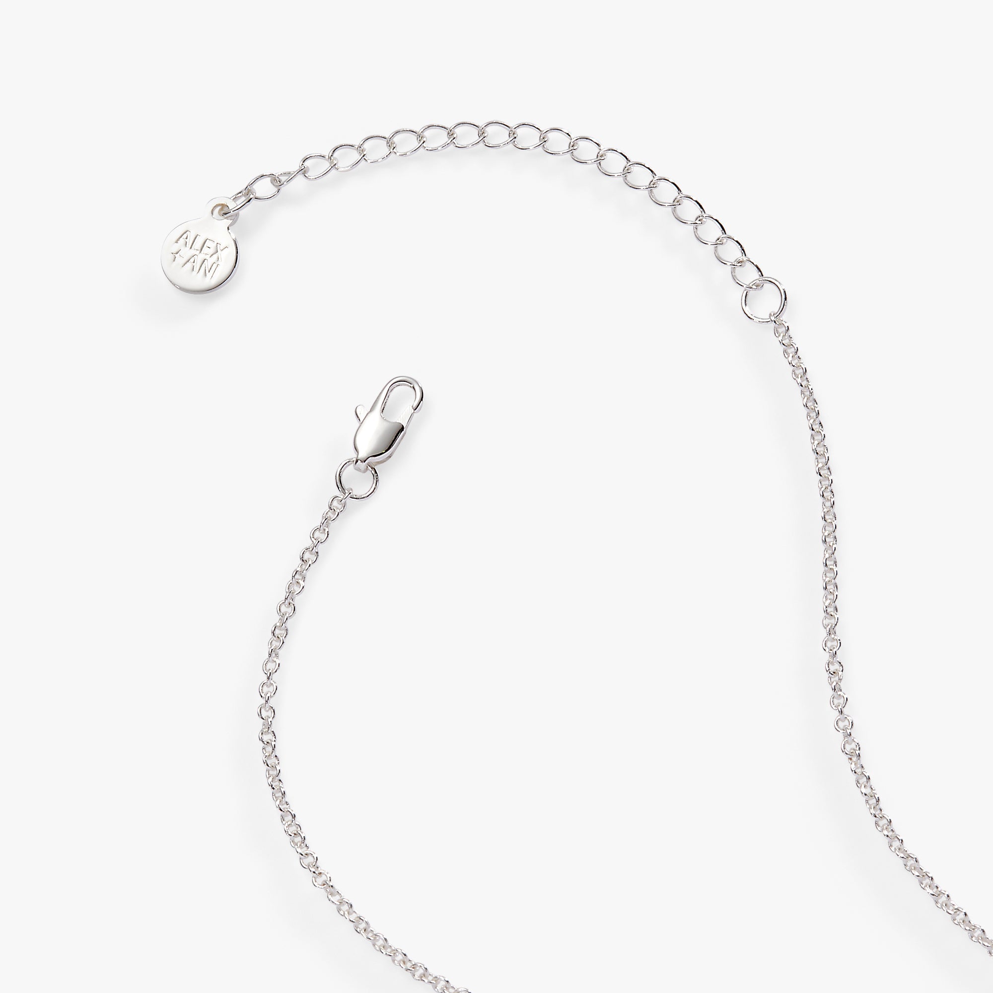 “wild At Heart” Duo Charm Pendant Necklace