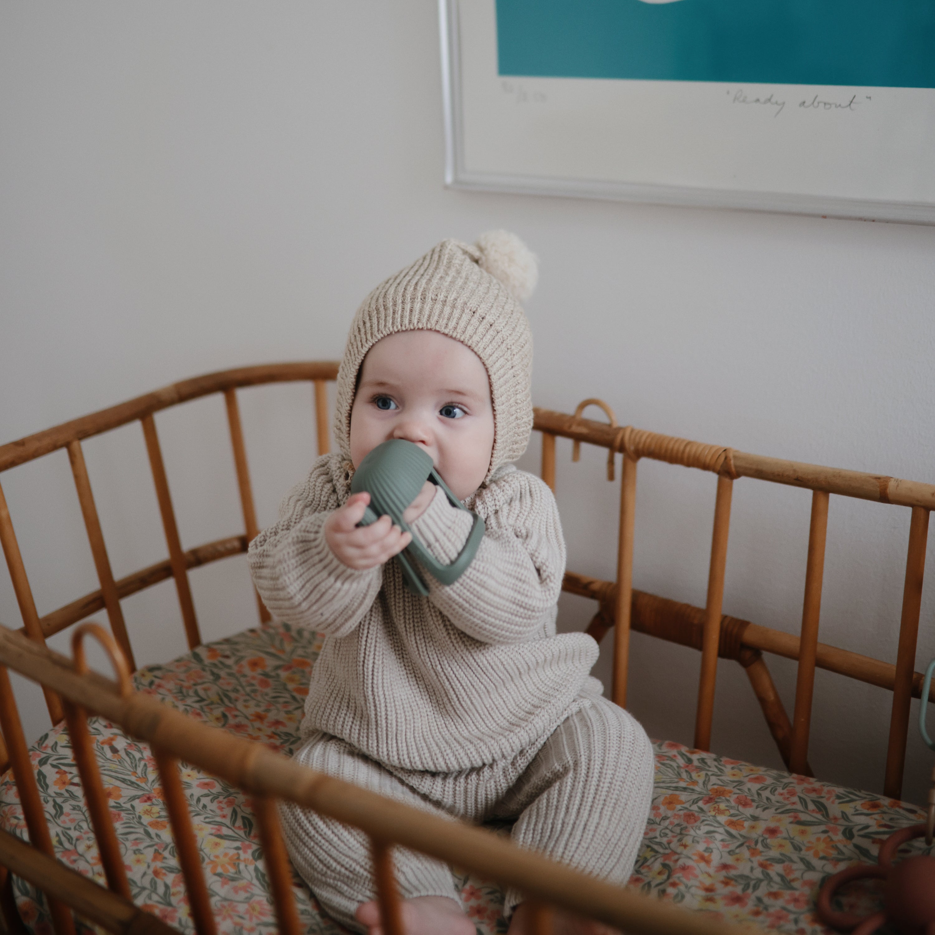 No-drop Cactus Teether (dried Thyme)