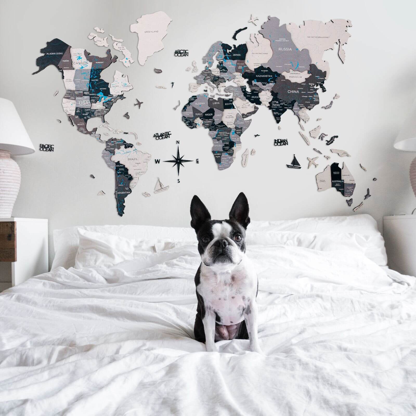Bundle: Colored Map And Airplanes Pins