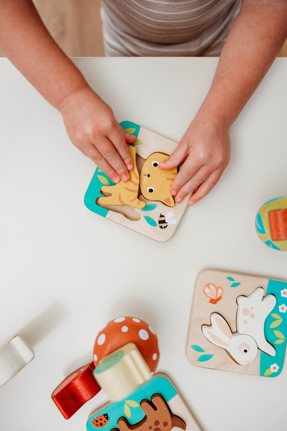 24 Months Garden Playtime Set