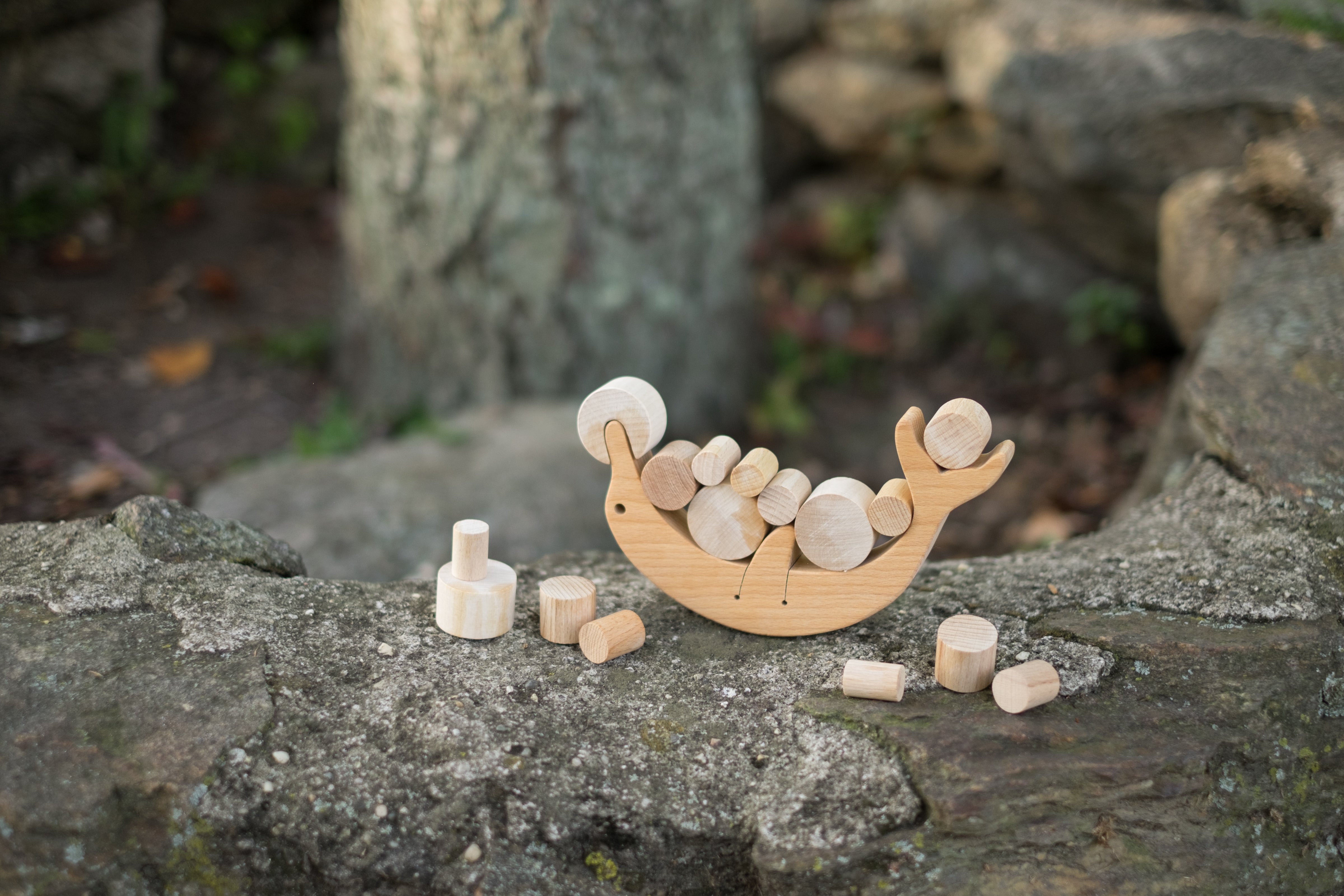 Wooden Dolphin Balancing Toy