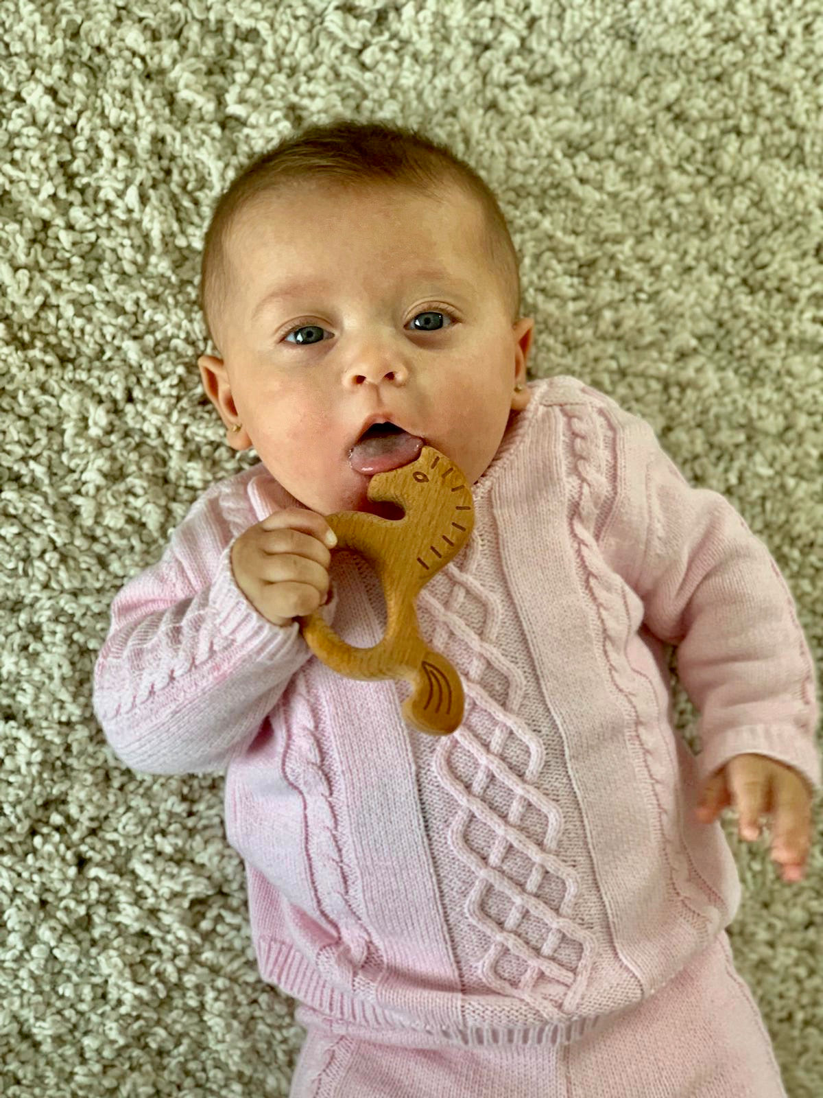 Organic Wooden Teether Toy Horse