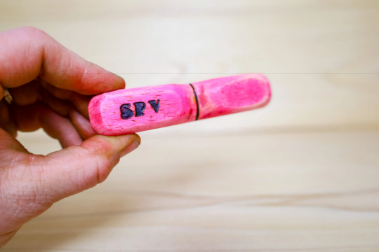 Wooden Earthworm Worm Toy