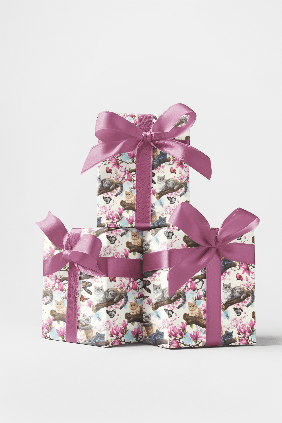 Spring Blossom Cats (exotic Shorthair) Wrapping Paper