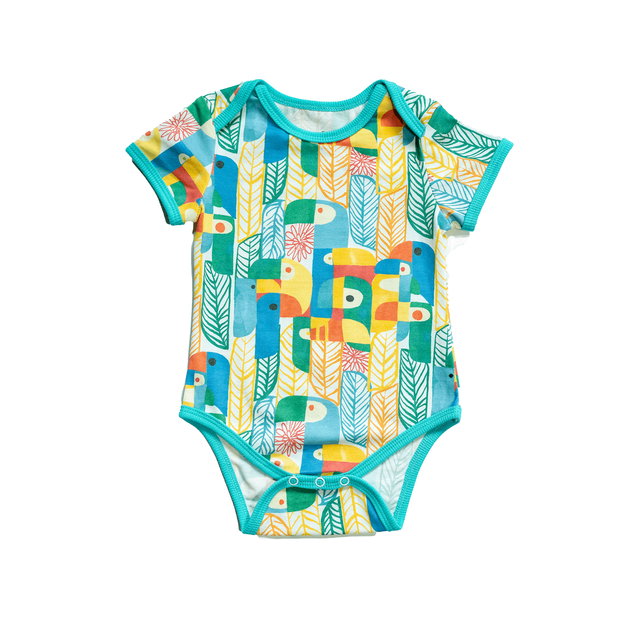Wren Baby Body | Parrots