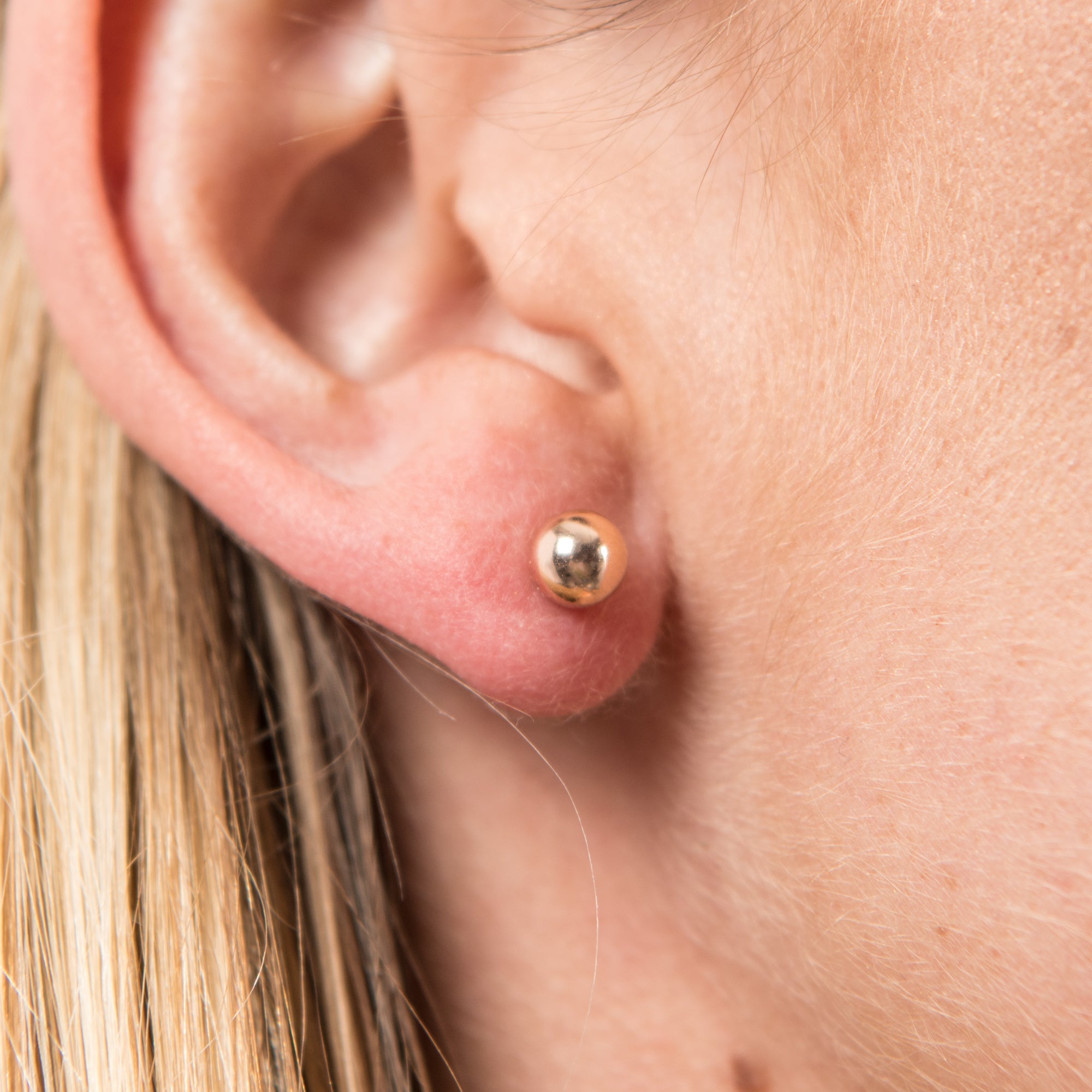 Medium Yellow Gold Studs