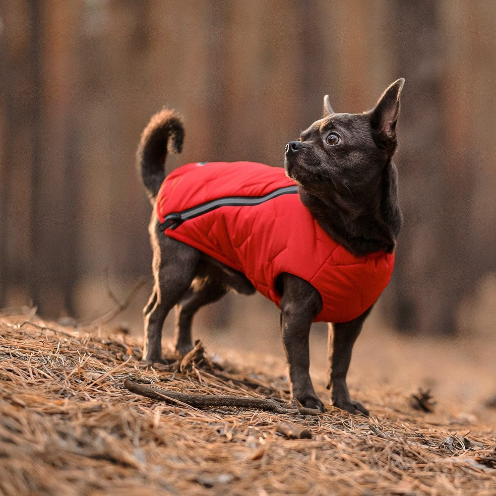 Durable Pet Jacket With Reflective Elements