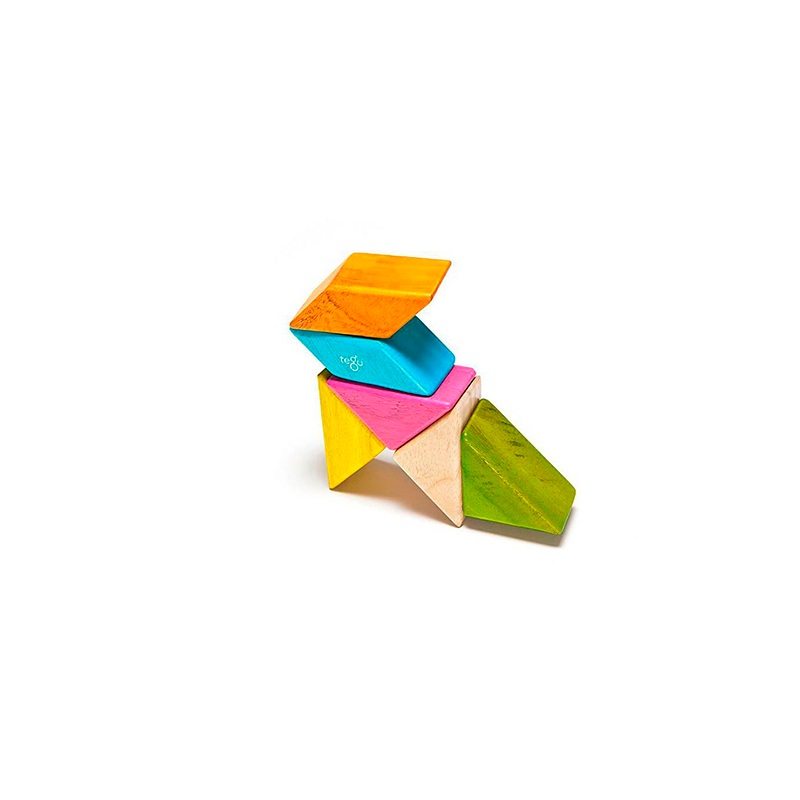 Pocket Pouch Prism Magnetic Wooden Blocks 6 pieces