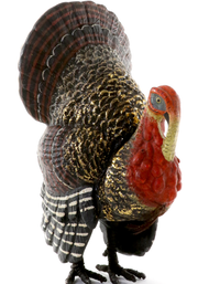 Turkey Tom Small