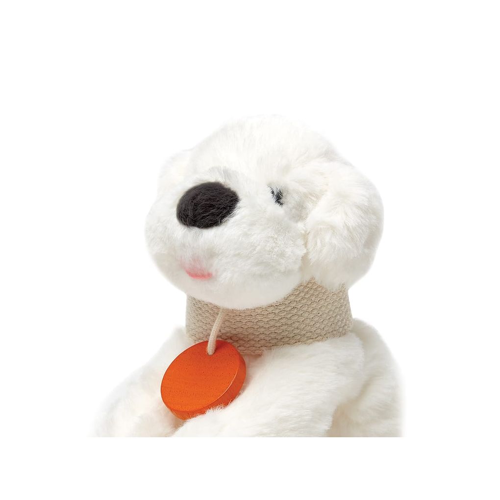 PlanToys Pet Care Set Pretend Profession