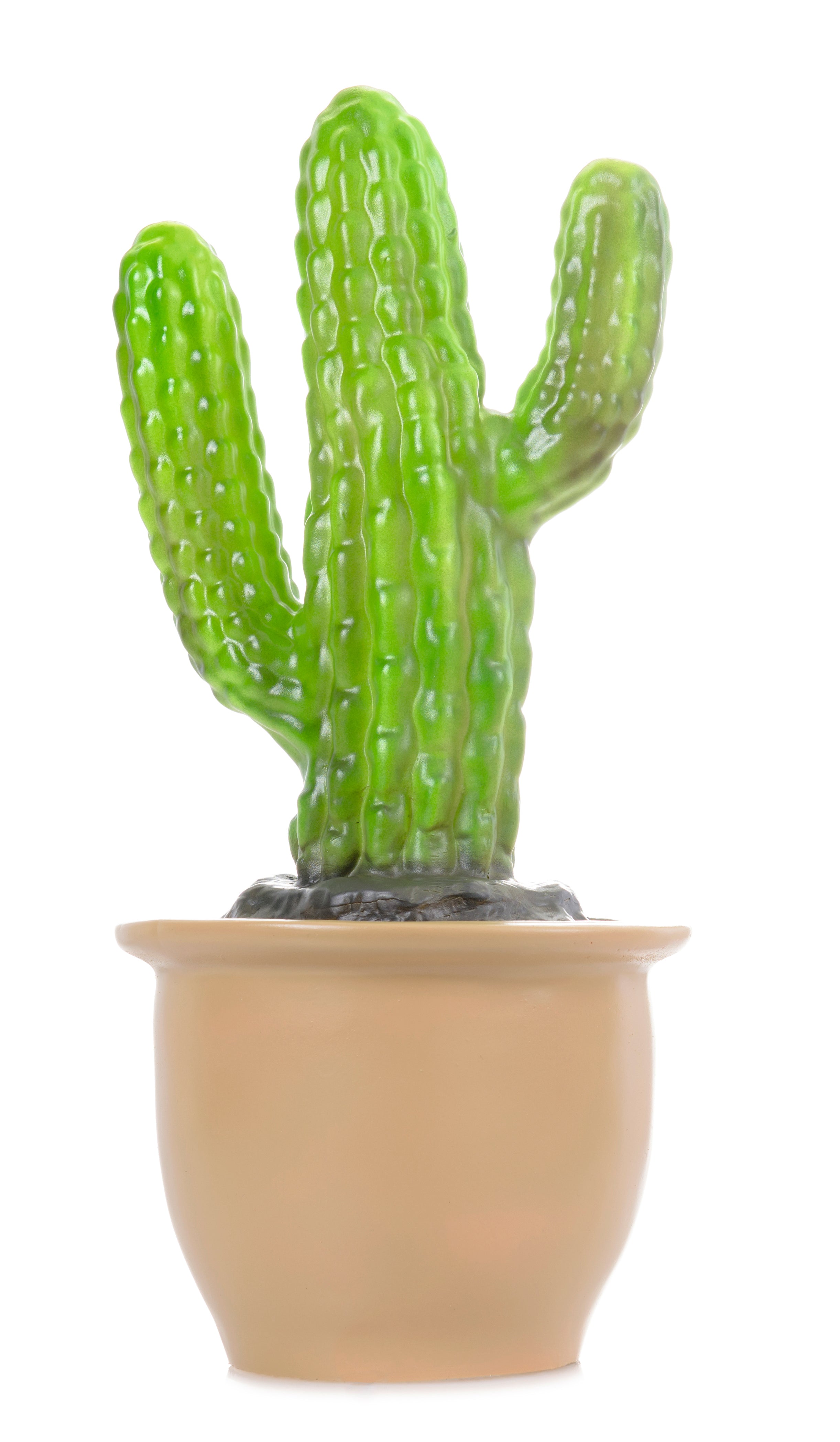 Egmont Lamp - Finger Cactus In Pot w/ Plug Night Lights
