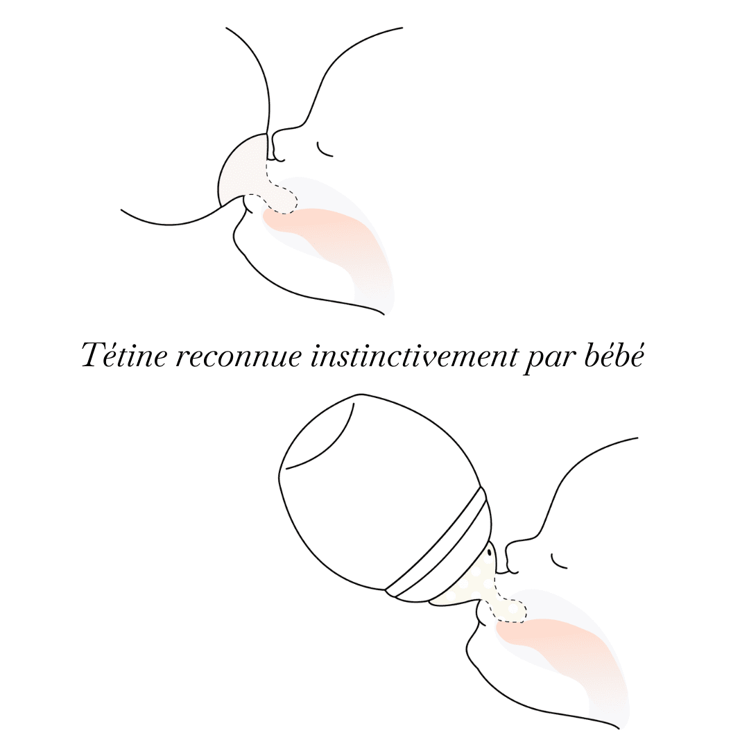 Set X 2 Teats Small Flow Transparent