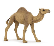Papo France Dromedary
