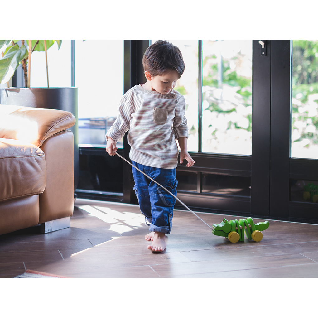 PlanToys Dancing Alligator Push & Pull