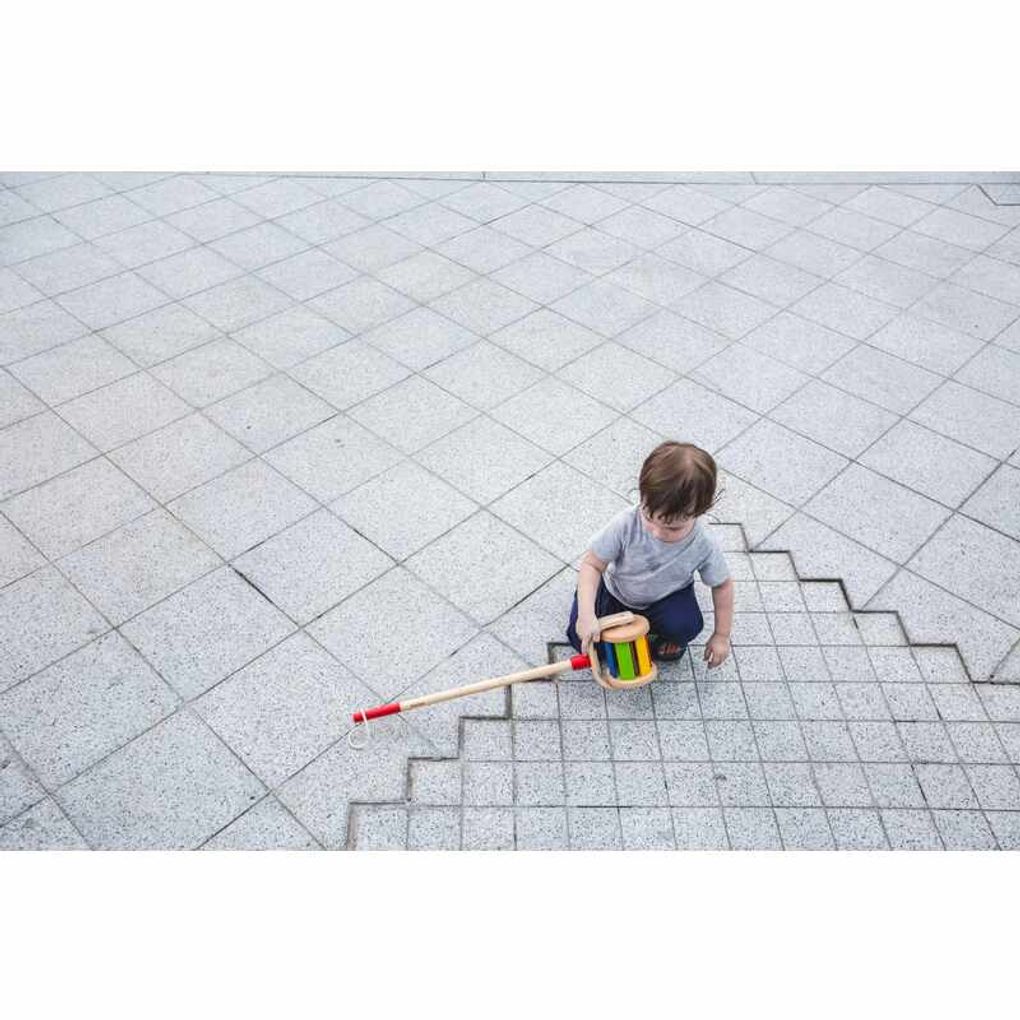 PlanToys Walk N Roll Push & Pull