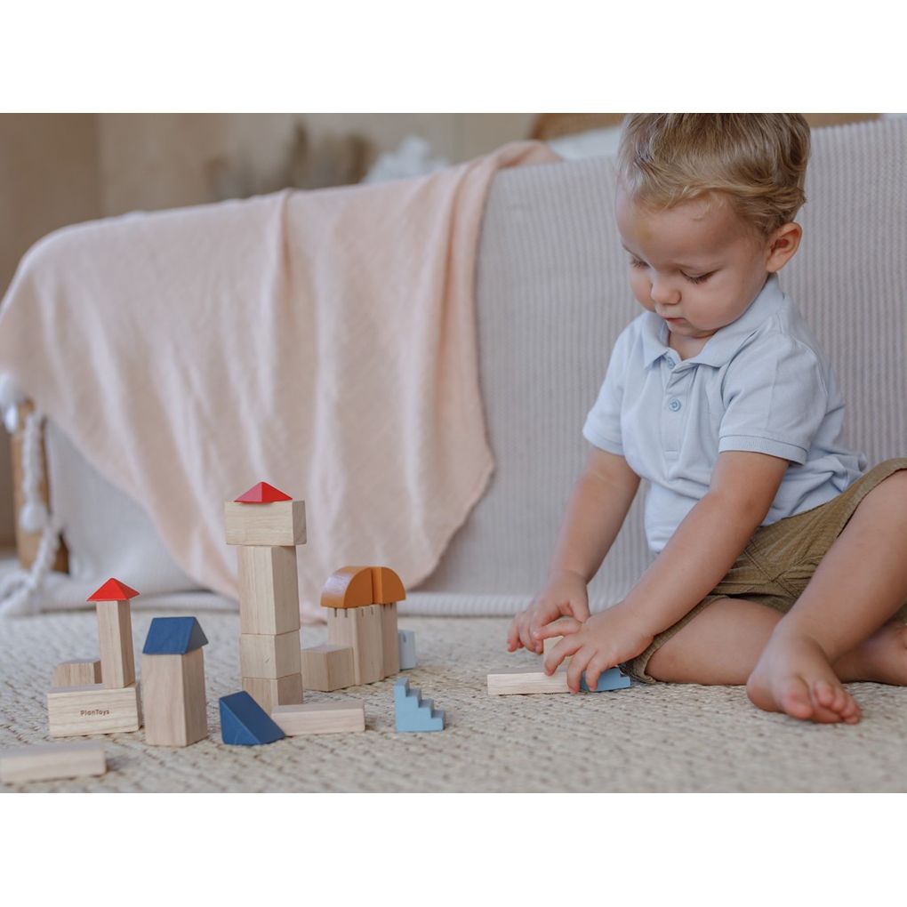 PlanToys Creative Blocks - Orchard Series Building Block