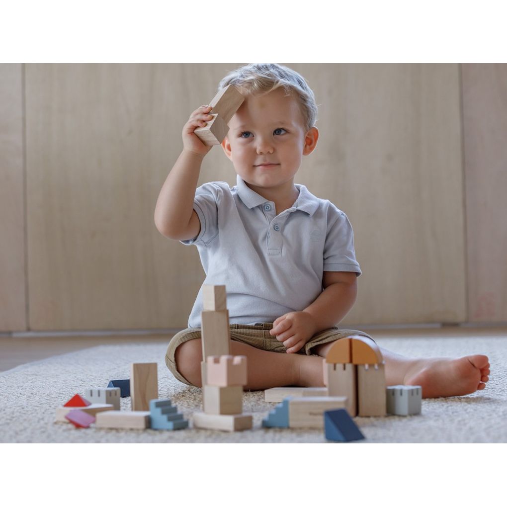 PlanToys Creative Blocks - Orchard Series Building Block