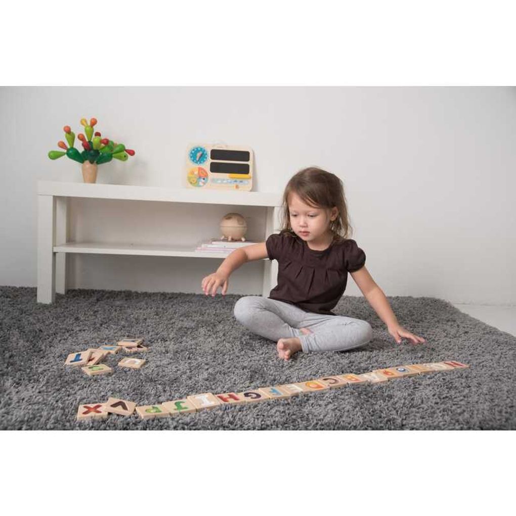 PlanToys Alphabet A-Z (Gradient) Alphabet Toy