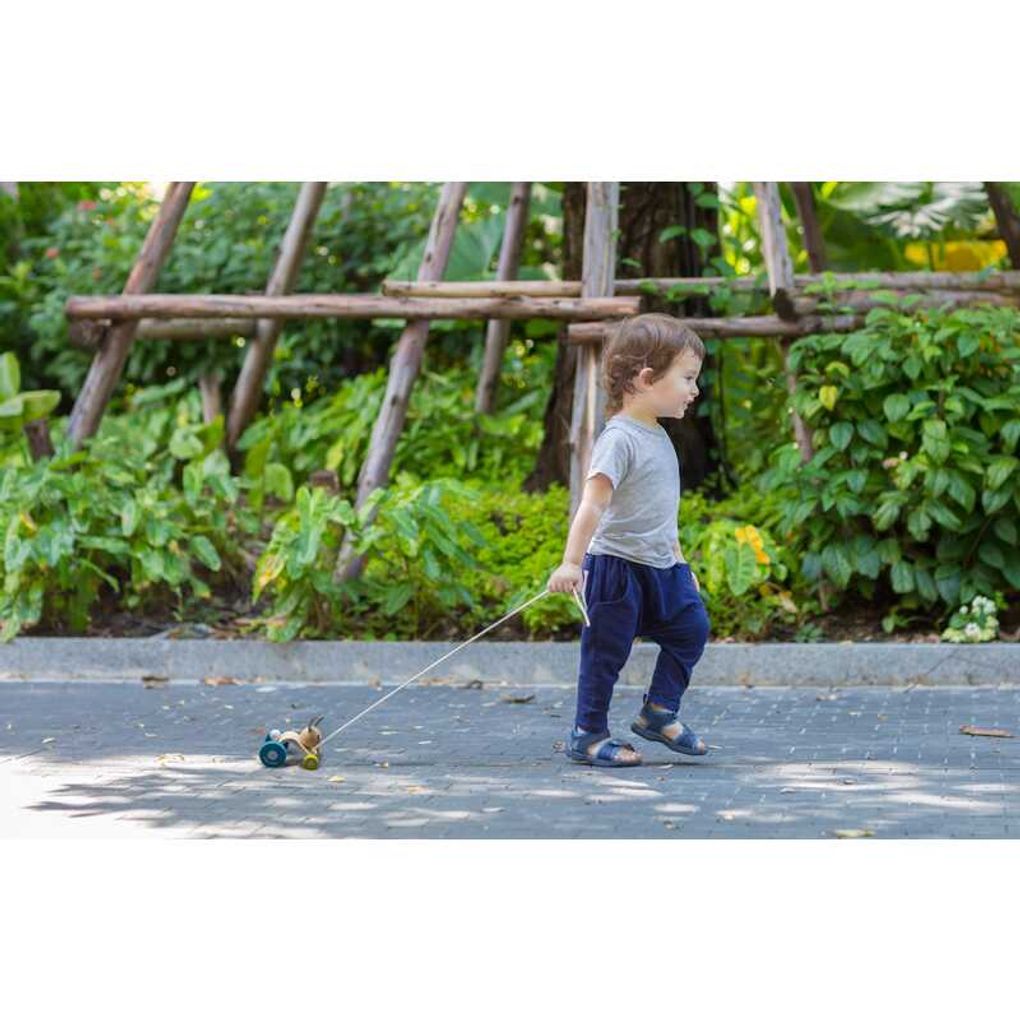 PlanToys Hopping Rabbit Push & Pull