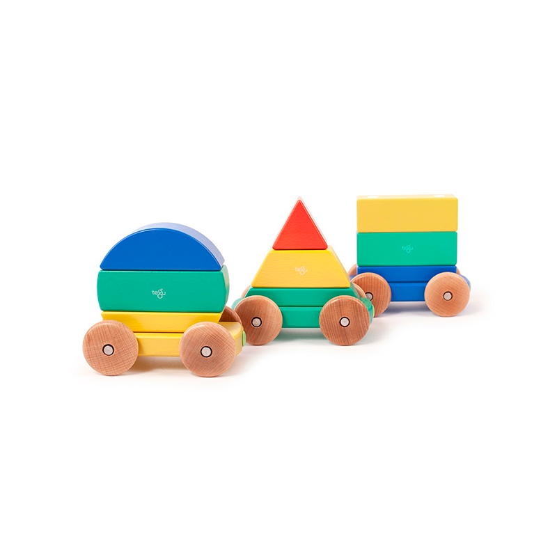Magnetic Shape Train Tegu Baby and Toddler 9 pieces