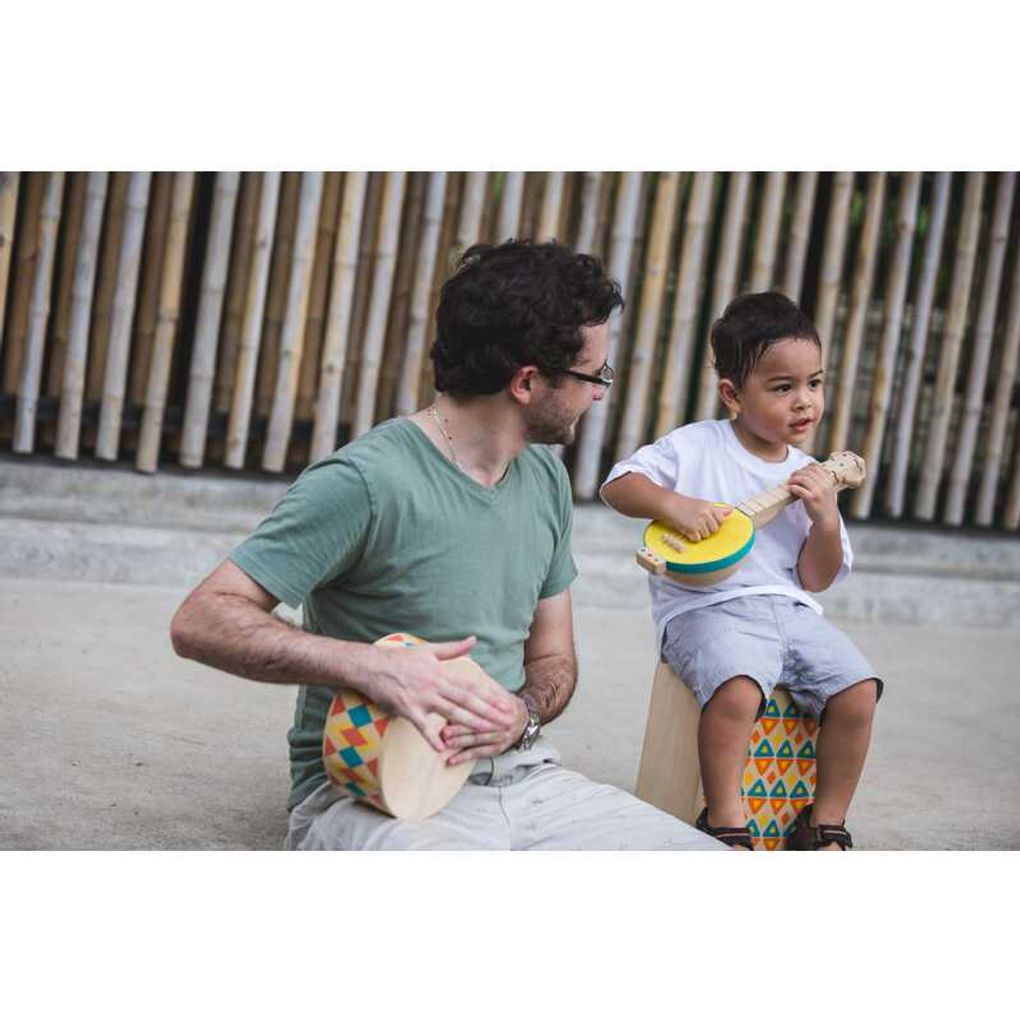 PlanToys Banjolele String