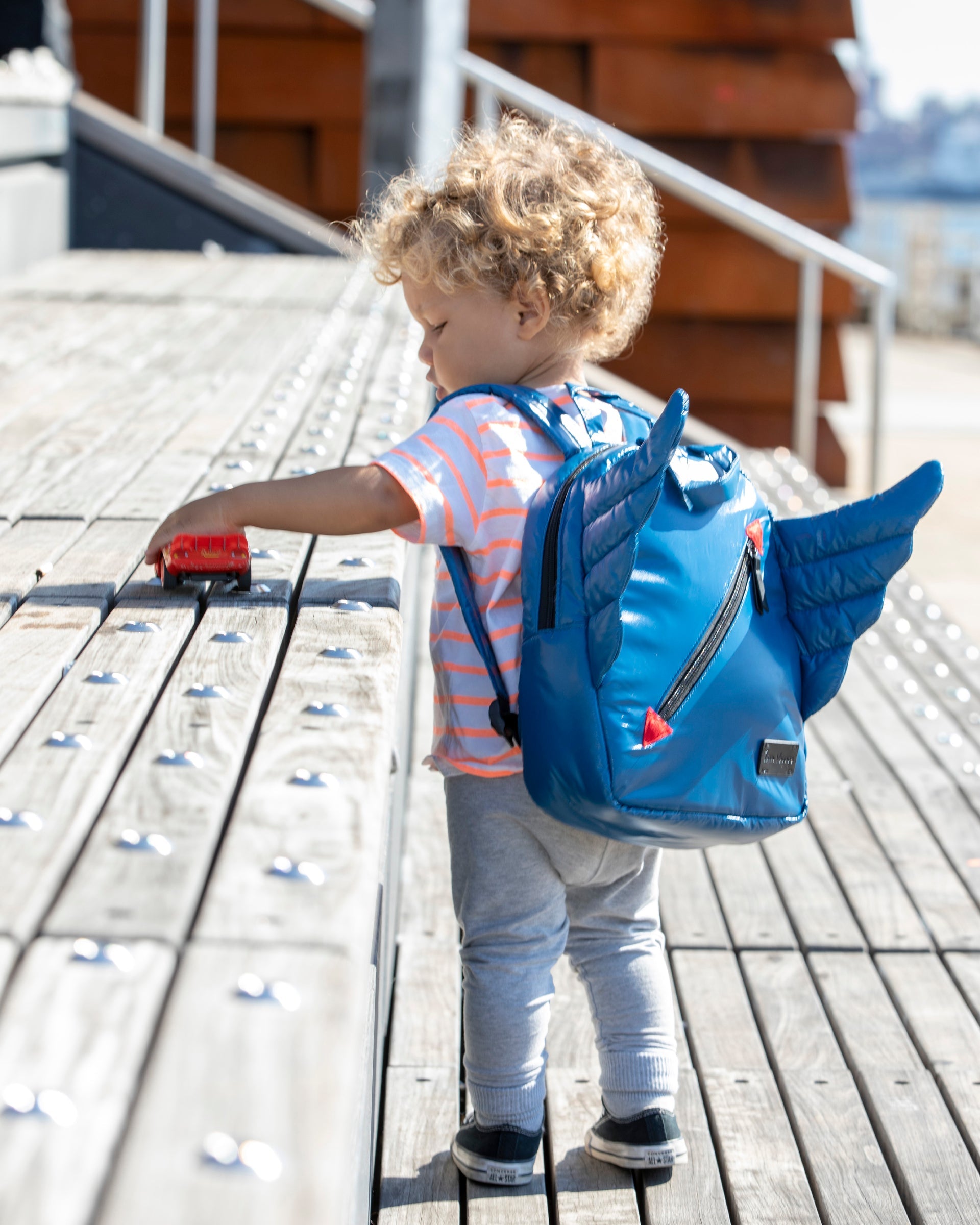 Wings Backpack