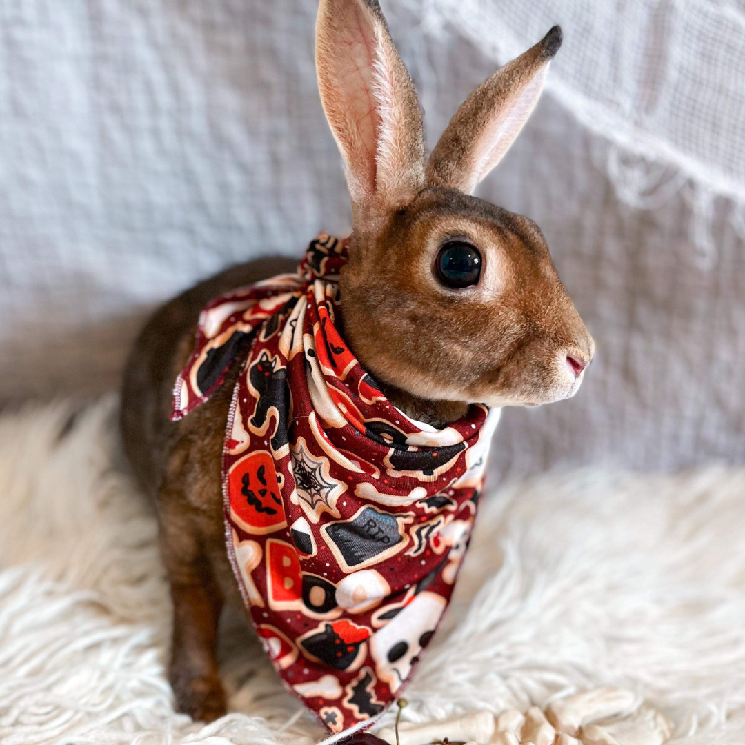 Spooky Soiree Bandana