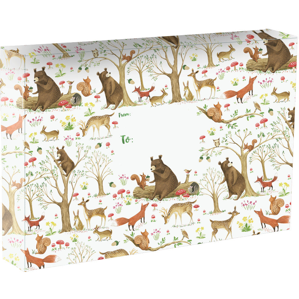 Fairytale Forest Bears Large Baby Printed Gift Mailing Boxes