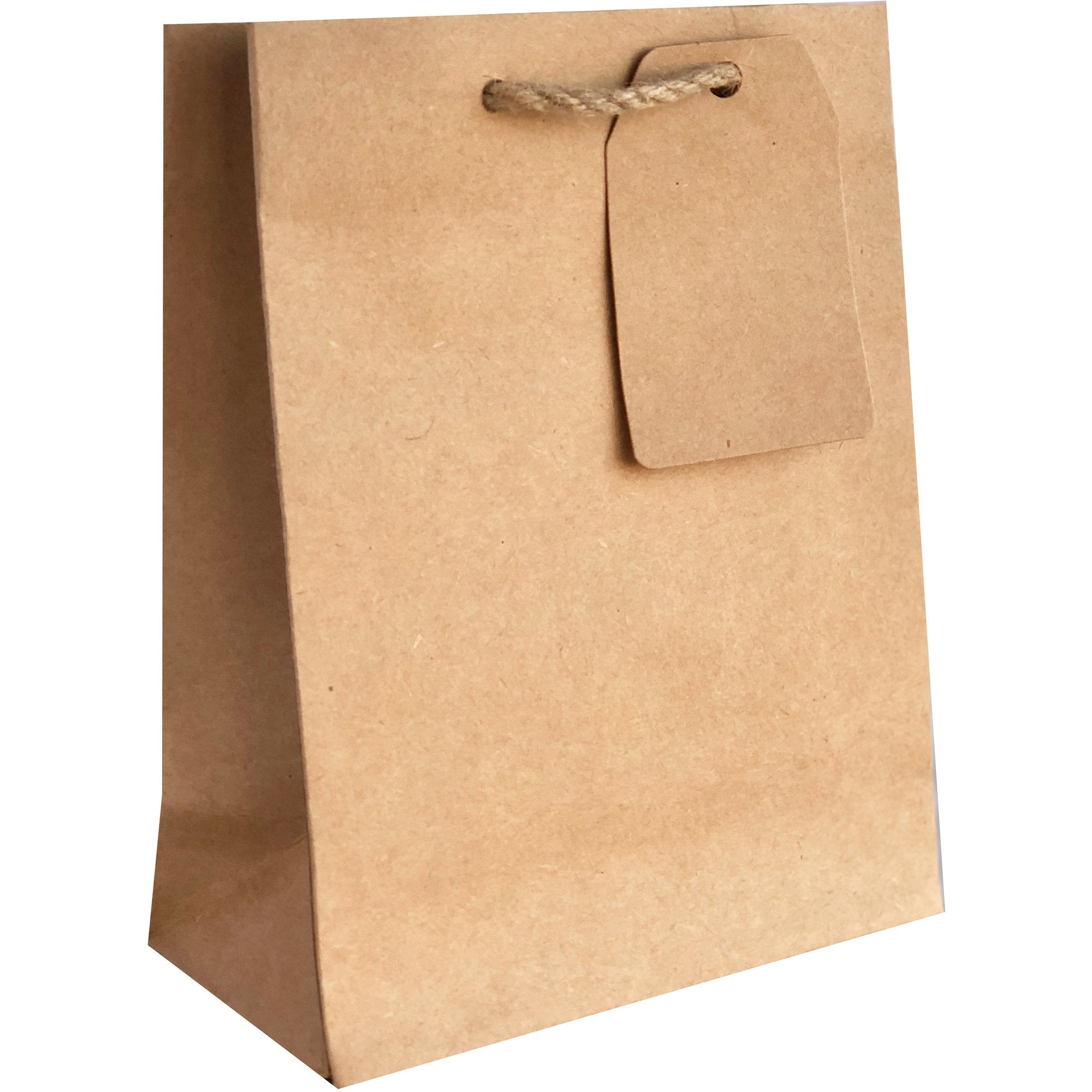 Heavyweight Solid Small Gift Bags, Natural Kraft