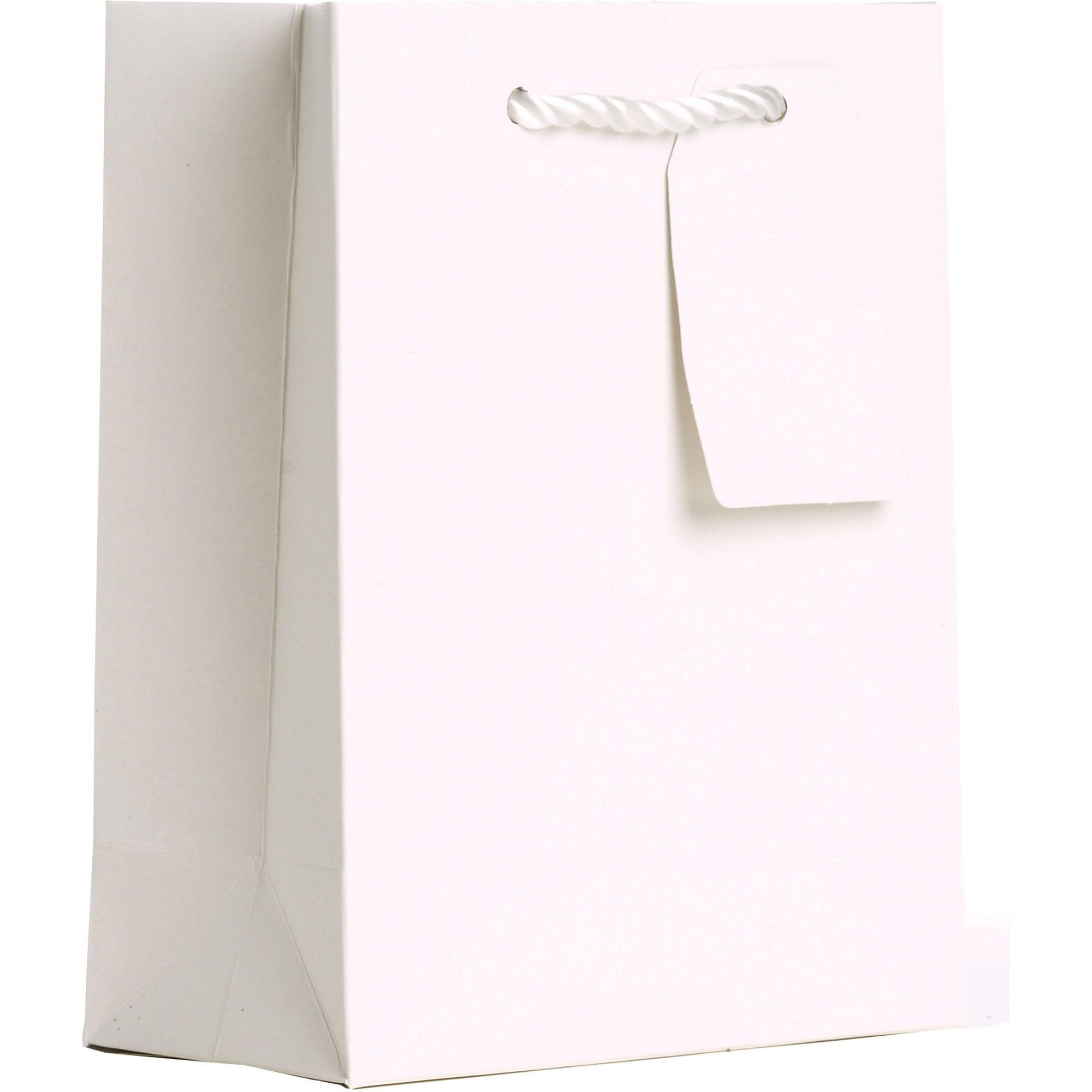 Heavyweight Solid Color Small Gift Bags, Matte White