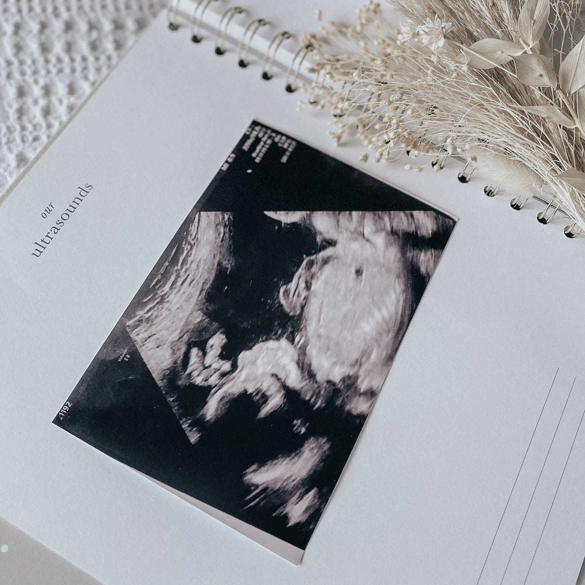 Blush and Gold My Baby Book - Baby Memory Book - Misty