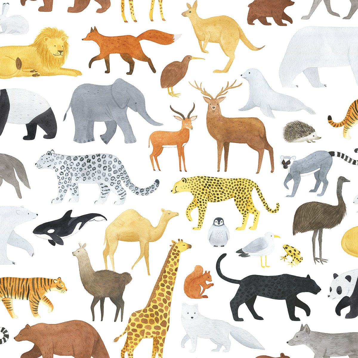 Lilipinso Wallpaper (50 Cm X 10 M) - Animalia