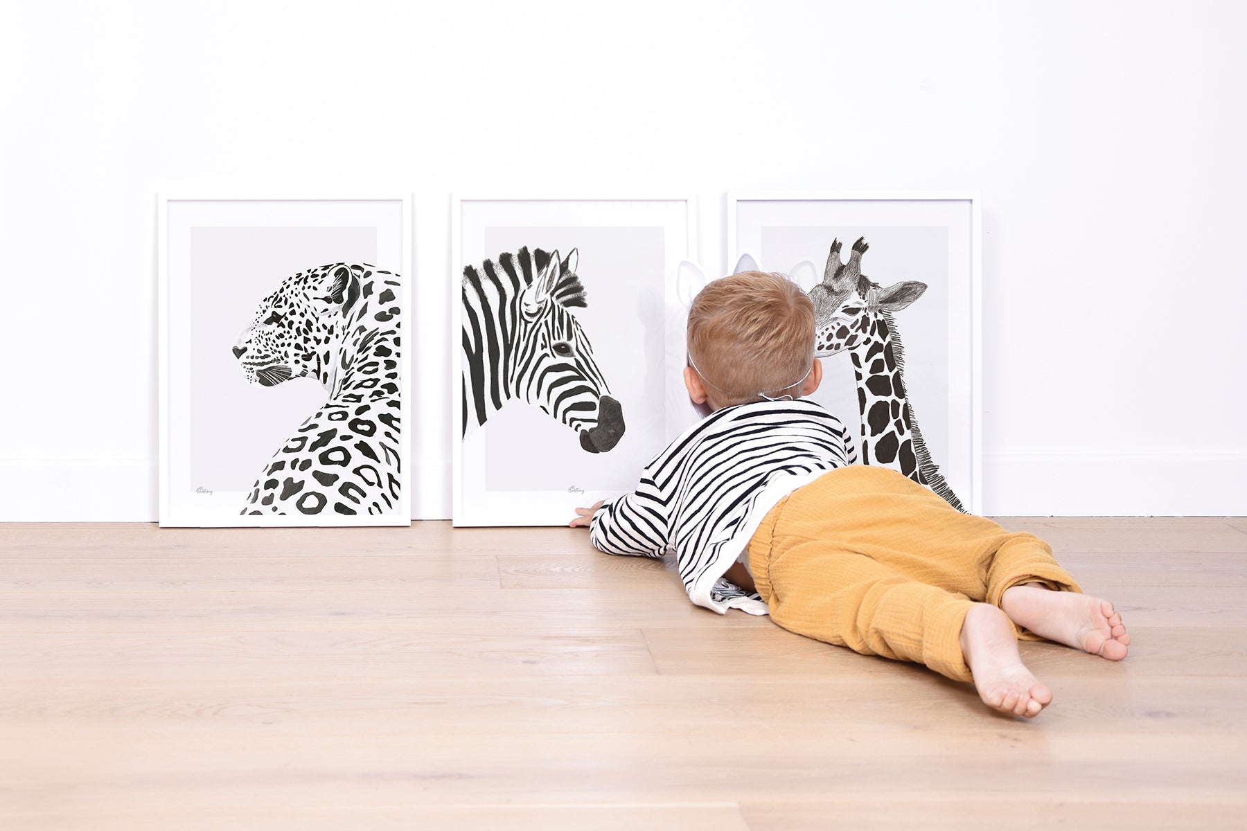 Lilipinso Framed Art Print - Zebra