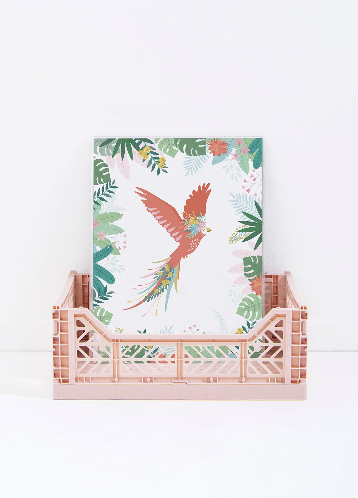 Lilipinso Art Print - Parrot'S Flight