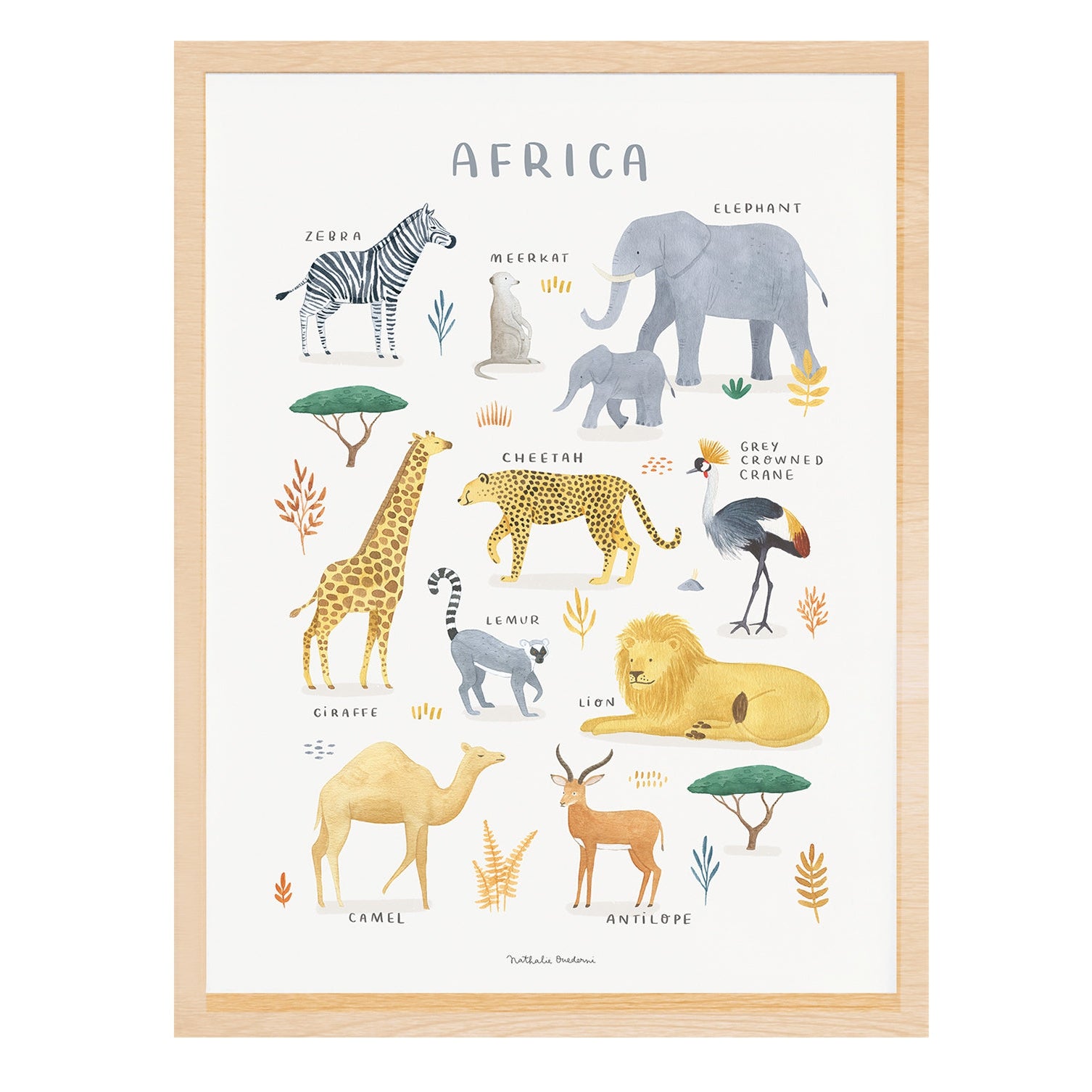 Lilipinso Framed Art Print - Animals From Africa