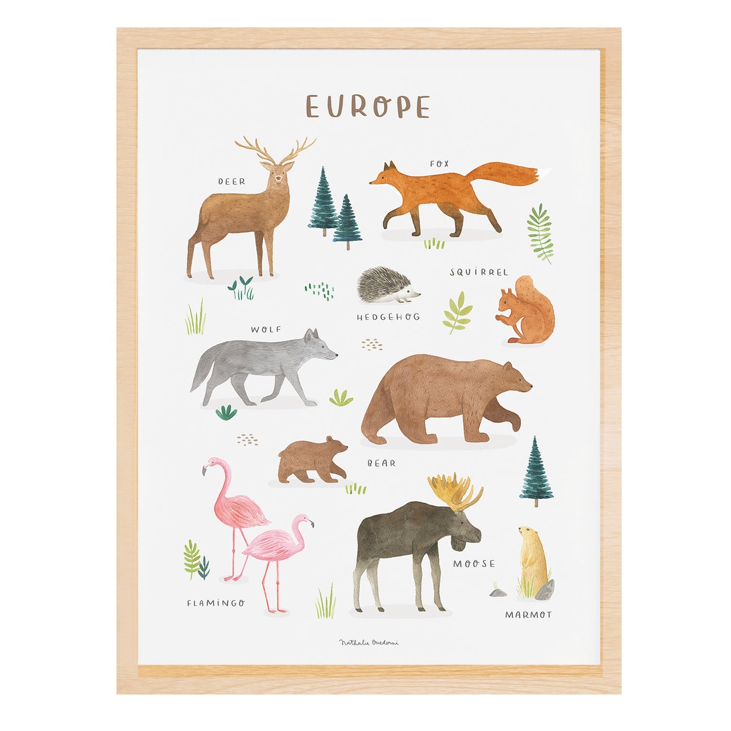 Lilipinso Framed Art Print - Animals From Europe